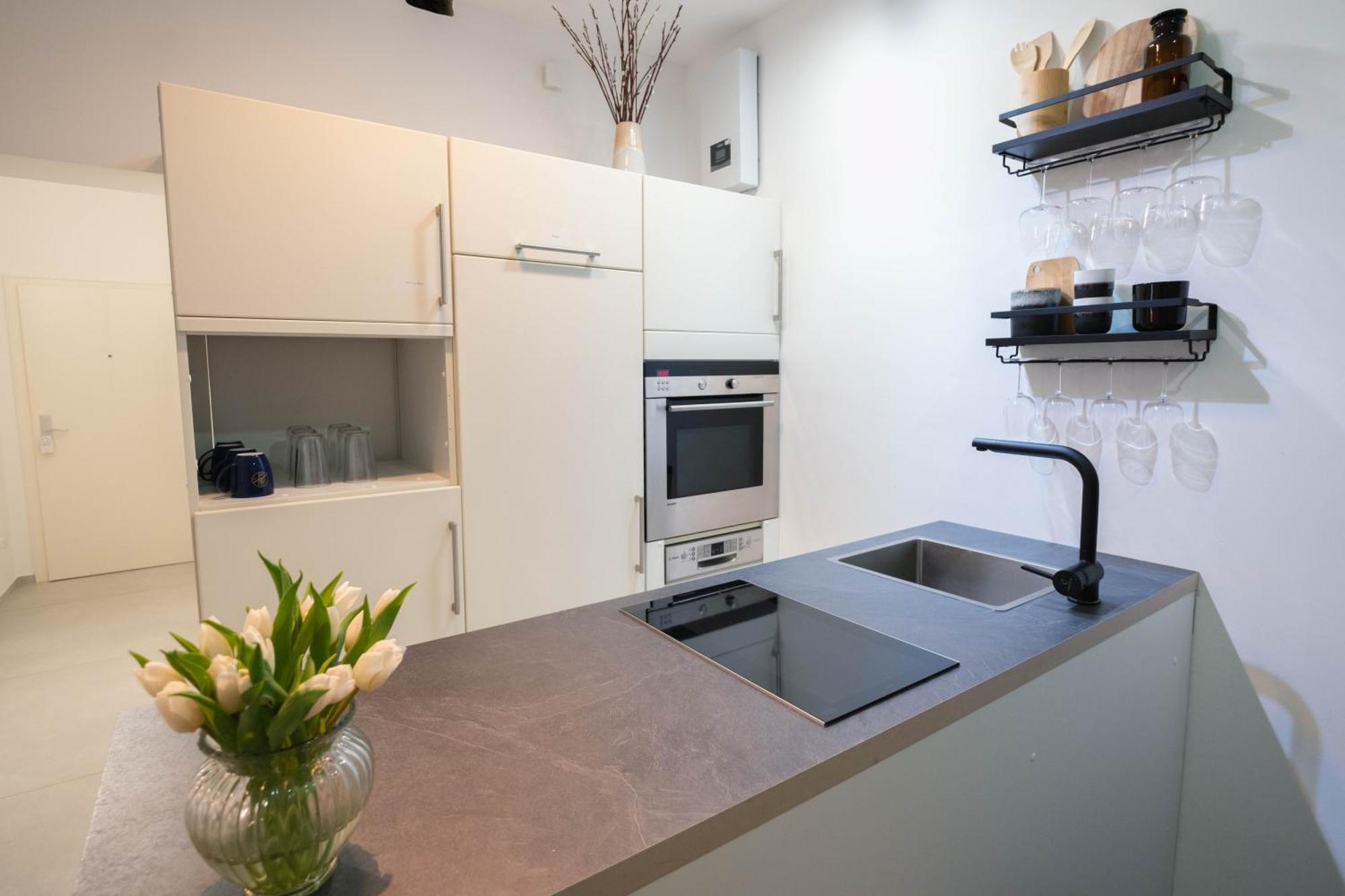 Tanic Deluxe Garden Industrial Fair Apartment Dusseldorf